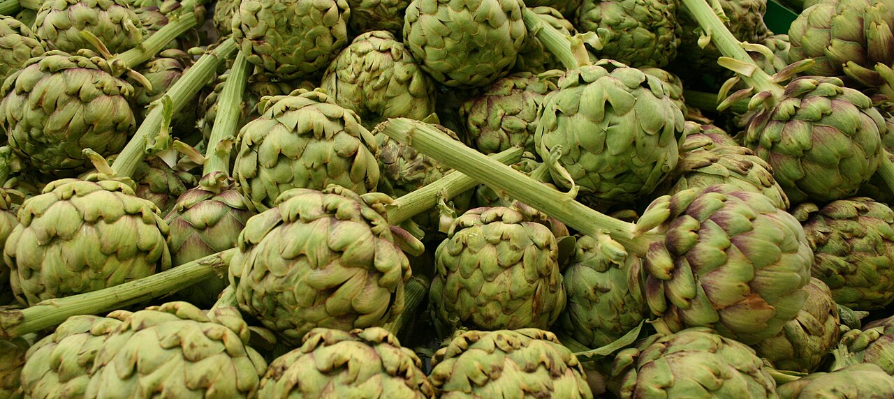 Fresh globe artichokes