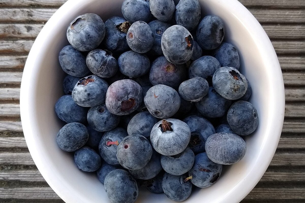 Bowl of fresh blueberries