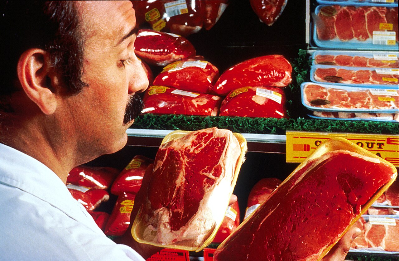 A shopper comparing two packages of meat in a grocery store