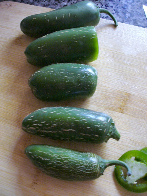 Fresh jalapeño peppers