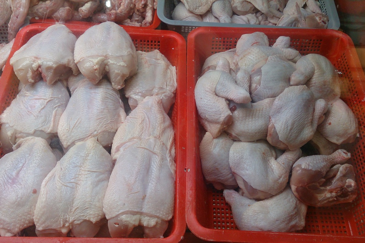 Morceaux de poulet cru en présentation de vente