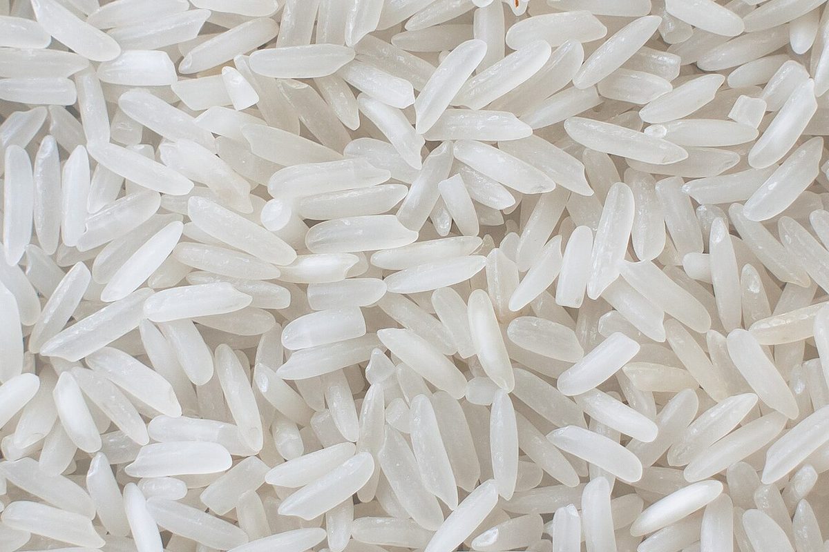 Uncooked white jasmine rice grains