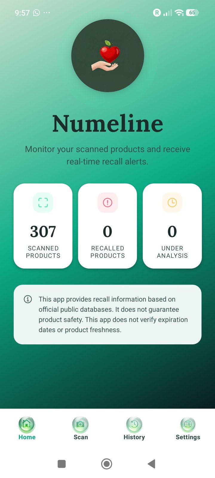Numeline home screen with scan statistics